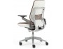 Steelcase Gesture Office Chair with Shell Back Side Light/Light Nugget Cogent Connect 